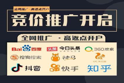 行业案例分析：sem账户托管的成功与挑战